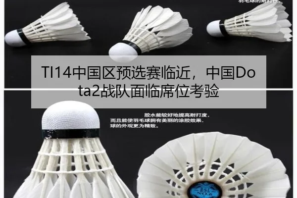 TI14中国区预选赛临近，中国Dota2战队面临席位考验